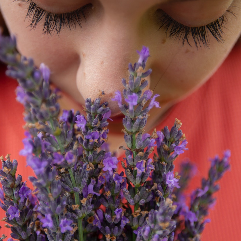 Aromatic Family Essential Oils