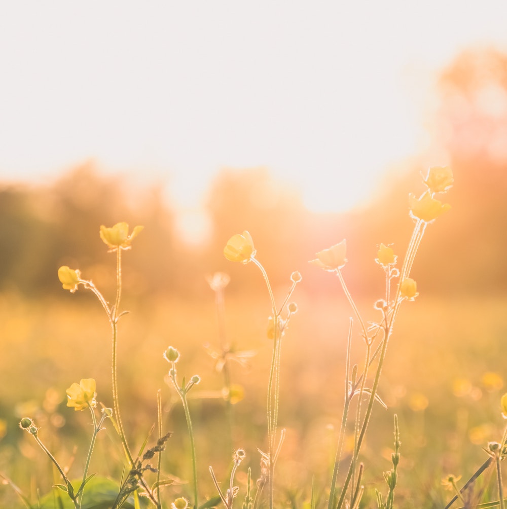 Five Beautiful Blends for Spring