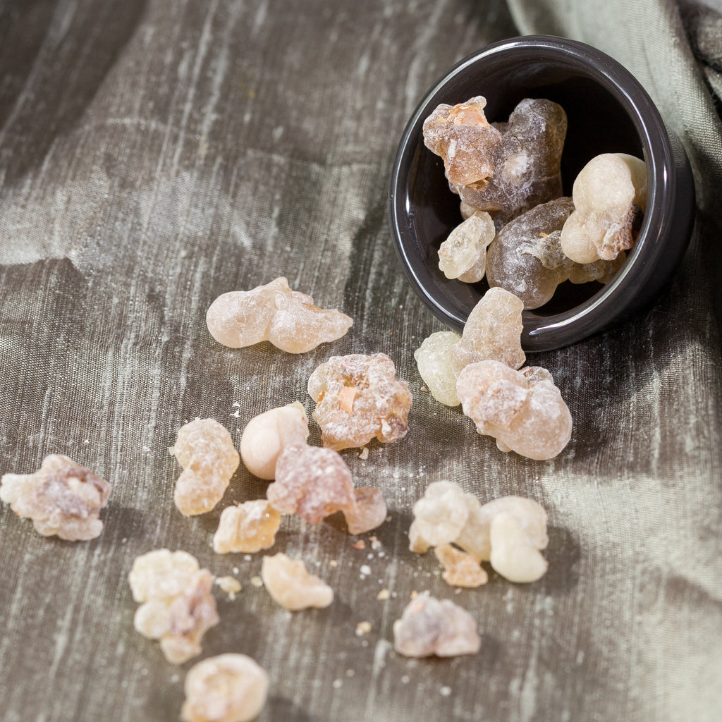 Frankincense resin used to extract frankincense essential oil